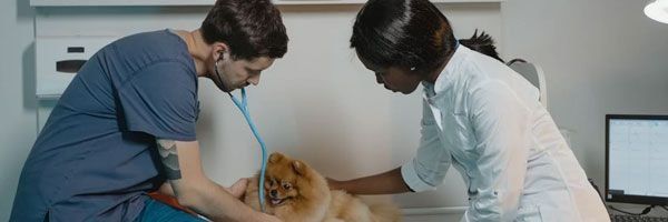 Fotobiomodulação